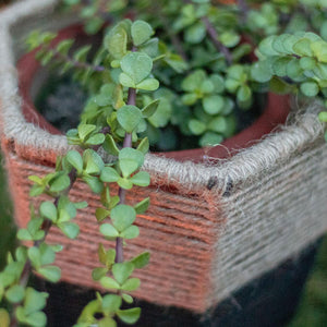 Rustic Cotton & Jute Planter