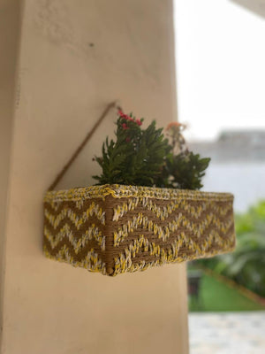 Champa Hanging Planter