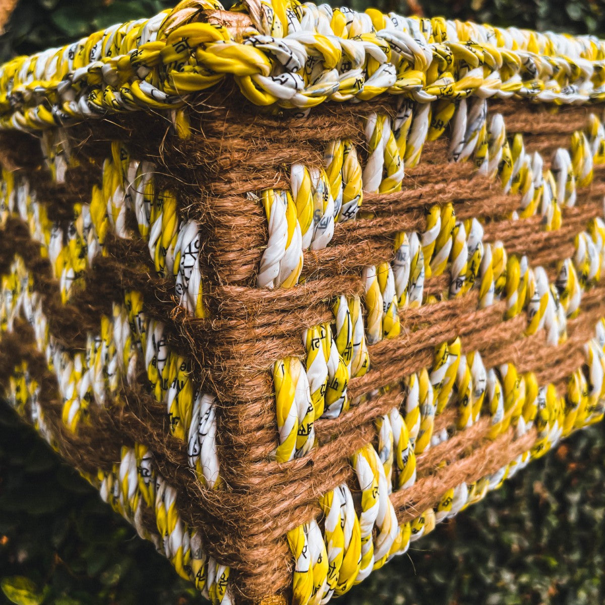 Champa Hanging Planter